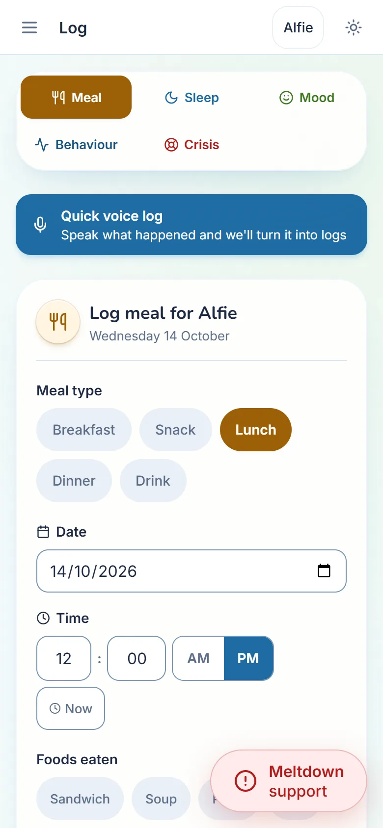 Logging a meal: which meal, then the date and the time.