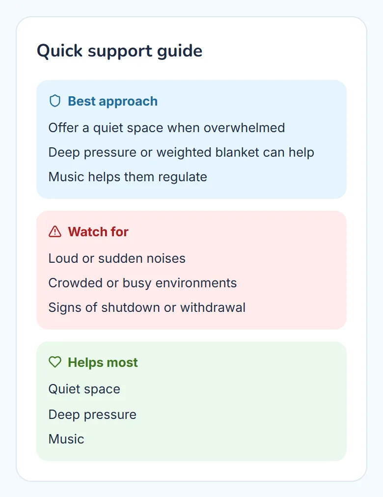 The quick support guide from a made-up child’s one-page profile: the best approach, what to watch for, and what helps most.